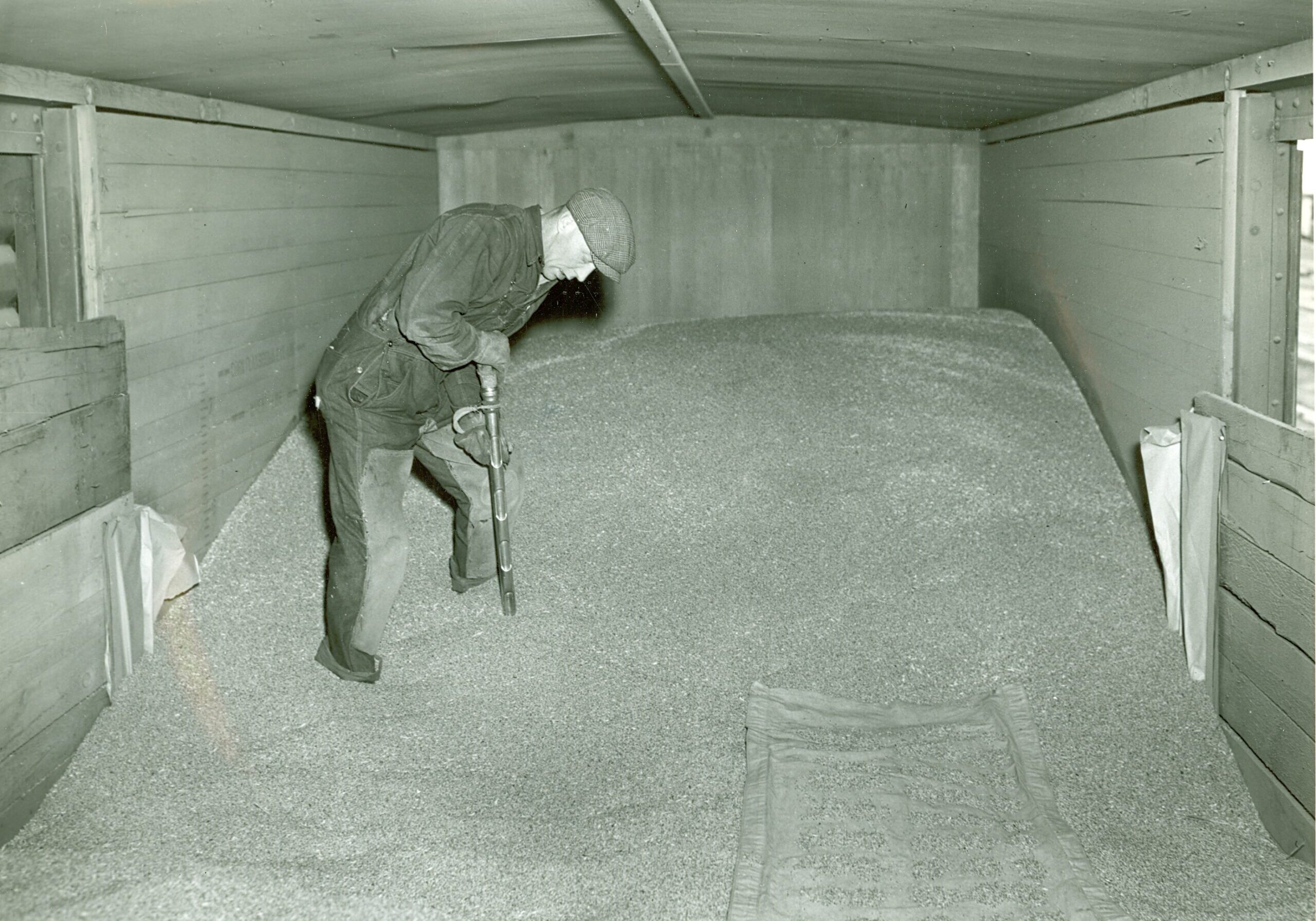 Canadian Grain Commission Grain Sampler Taking Sample inside Boxcar scan0027
